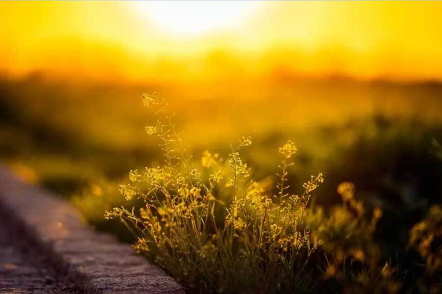 技企业发布新投影仪画质亮尊龙凯时ag旗舰厅网站科