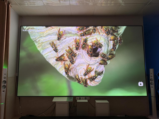 攻略：千元档到万元档这四款闭眼入不踩坑人生就是博-尊龙凯时双十二投影仪选购(图2)